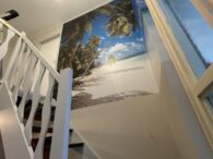 {{brizy_dc_image_alt entityId=