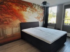 {{brizy_dc_image_alt entityId=