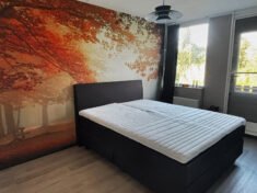 {{brizy_dc_image_alt entityId=