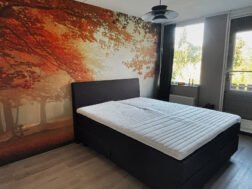 Bos {{brizy_dc_image_alt entityId=