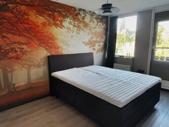 {{brizy_dc_image_alt entityId=