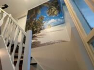 {{brizy_dc_image_alt entityId=